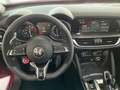 Alfa Romeo Stelvio Quadrifoglio V6 Aut./S-DACH/21Z/ACC/SHZ Rot - thumbnail 10