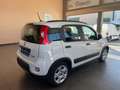 Fiat Panda 1.0 Gse Sport Hybrid - thumbnail 5