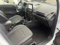 Ford EcoSport Titanium Weiß - thumbnail 9
