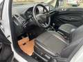 Ford EcoSport Titanium Weiß - thumbnail 7