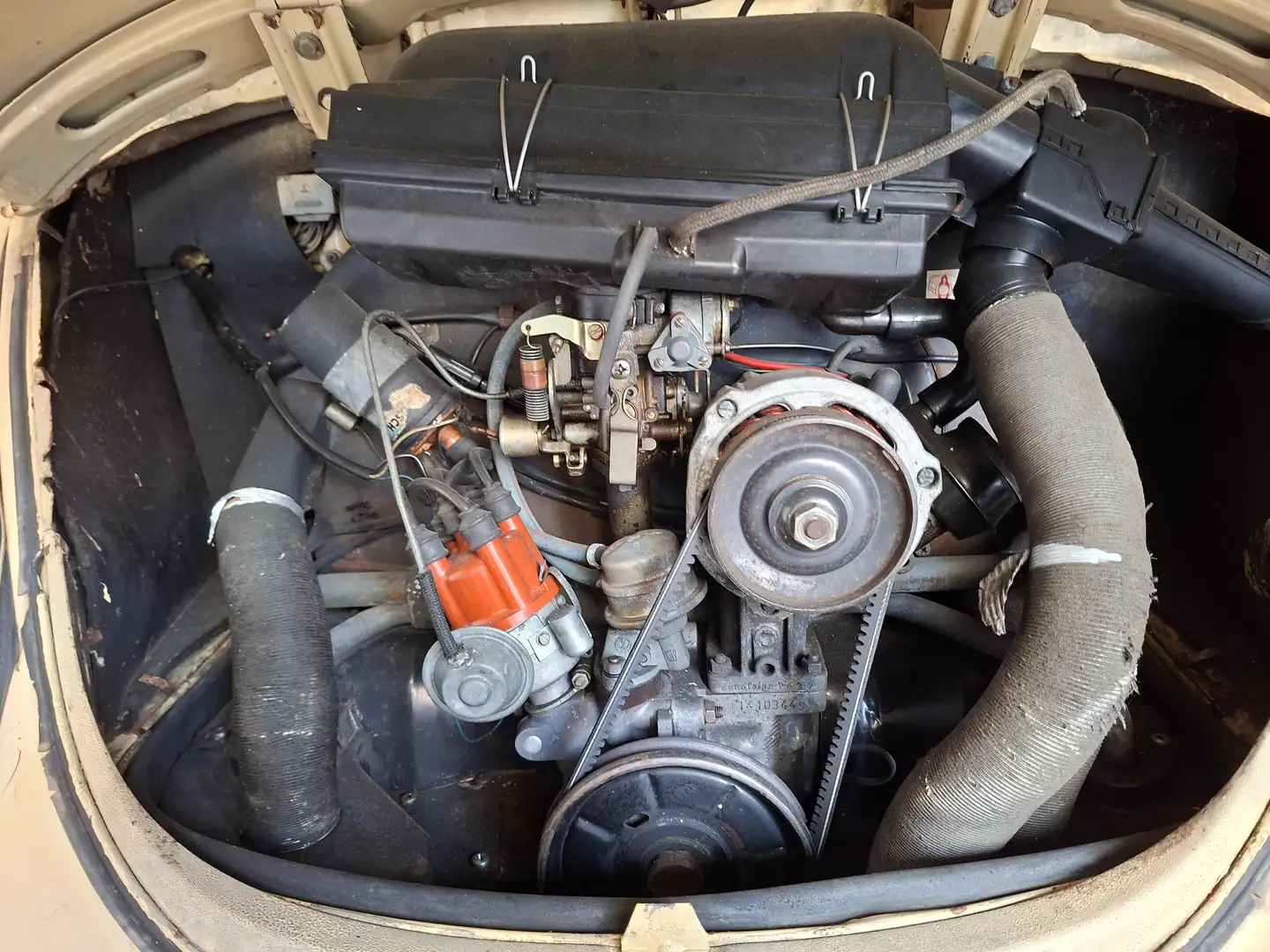 Volkswagen Maggiolino Bianco - 1