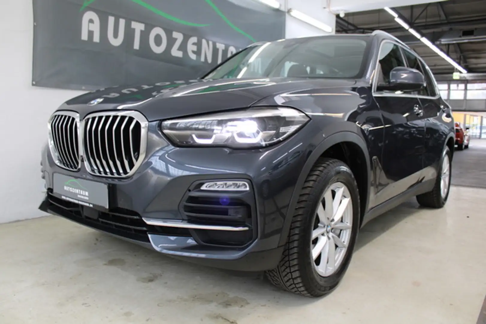 BMW X5 xDrive 30d 1.Hd./7-Sitzer/Panorama/360°/LED Gris - 1