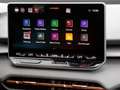CUPRA Terramar 1.5 eTSI-7-Gang-DSG CTL Grau - thumbnail 12
