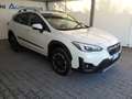 Subaru XV XV 1.6i 4dventure lineartronic Bianco - thumbnail 2