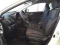 Subaru XV XV 1.6i 4dventure lineartronic Bianco - thumbnail 5
