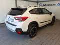 Subaru XV XV 1.6i 4dventure lineartronic Bianco - thumbnail 13