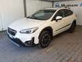 Subaru XV XV 1.6i 4dventure lineartronic Bianco - thumbnail 3