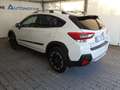 Subaru XV XV 1.6i 4dventure lineartronic Bianco - thumbnail 11