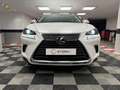 Lexus NX 300 300h Business 2WD Weiß - thumbnail 4