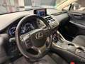 Lexus NX 300 300h Business 2WD Weiß - thumbnail 11