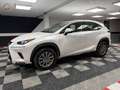 Lexus NX 300 300h Business 2WD Weiß - thumbnail 5