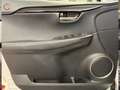 Lexus NX 300 300h Business 2WD Weiß - thumbnail 15