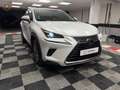 Lexus NX 300 300h Business 2WD Weiß - thumbnail 3