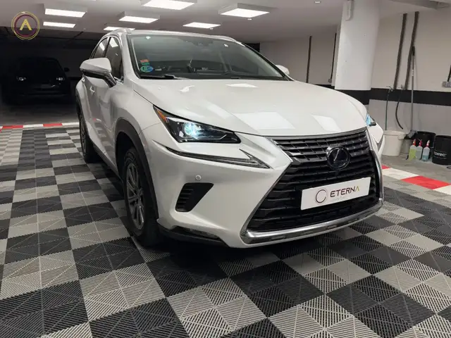 Lexus NX 300 300h Business 2WD