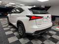 Lexus NX 300 300h Business 2WD Weiß - thumbnail 1