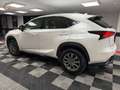 Lexus NX 300 300h Business 2WD Weiß - thumbnail 6