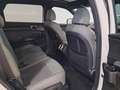 Kia Sorento 1.6 T-GDi HEV Emotion 4x4 Blanco - thumbnail 10