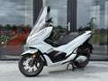 Honda PCX 125 Motorscooter A1 | USB | zeer netjes Rijdt super! Blanc - thumbnail 1