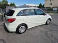 Mercedes-Benz B 180 Classe B - T246 d (cdi) Premium FL E6 Bianco - thumbnail 6