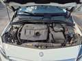 Mercedes-Benz B 180 Classe B - T246 d (cdi) Premium FL E6 Bianco - thumbnail 14