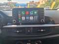 Kia Picanto 1.0 mpi Cool PROMO FINANZIAMENTO Bianco - thumbnail 12