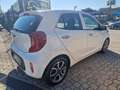 Kia Picanto 1.0 mpi Cool PROMO FINANZIAMENTO Bianco - thumbnail 4