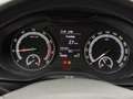 Skoda Karoq 1.0 TSI Ambition | Airco | Cruise control | Naviga Grau - thumbnail 18
