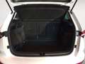 Skoda Karoq 2.0 TDI Ambition Blanco - thumbnail 11