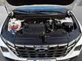 Hyundai TUCSON 1.6 Trend #AUT #ASSIST #KRELL #AHK #KAM Weiß - thumbnail 18