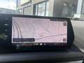 BMW 120 RFK NAVI Adapt. LED PDC V+H DAB Weiß - thumbnail 11