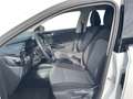 Skoda Fabia Selection 1.0 TSI DSG Panoramadach Weiß - thumbnail 10