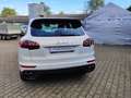 Porsche Cayenne S E-Hybrid*1.Hand*Unfallfrei*MWST* Bianco - thumbnail 6