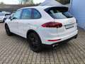 Porsche Cayenne S E-Hybrid*1.Hand*Unfallfrei*MWST* Bianco - thumbnail 7