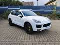 Porsche Cayenne S E-Hybrid*1.Hand*Unfallfrei*MWST* Bianco - thumbnail 3