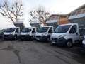 Fiat Ducato RIBALTABILE 2015-2020 [R133] Blanc - thumbnail 2