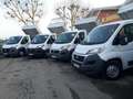 Fiat Ducato RIBALTABILE 2015-2020 [R133] Blanc - thumbnail 3