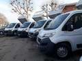 Fiat Ducato RIBALTABILE 2015-2020 [R133] Blanc - thumbnail 4