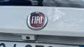 Fiat Tipo 5p 1.3 mjt City Life s&s 95cv Bianco - thumbnail 2