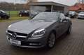 Mercedes-Benz SLK 200 Edition 1,AUTOM!Navi,Leder,Xenon,,,,,,, Gris - thumbnail 3