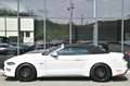 Ford Mustang Cabrio 5.0 Ti-VCT V8 GT *Carbon-Styling* Weiß - thumbnail 24