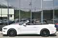 Ford Mustang Cabrio 5.0 Ti-VCT V8 GT *Carbon-Styling* Weiß - thumbnail 7