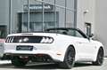 Ford Mustang Cabrio 5.0 Ti-VCT V8 GT *Carbon-Styling* Weiß - thumbnail 33