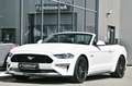 Ford Mustang Cabrio 5.0 Ti-VCT V8 GT *Carbon-Styling* Weiß - thumbnail 32