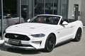 Ford Mustang Cabrio 5.0 Ti-VCT V8 GT *Carbon-Styling* Weiß - thumbnail 3