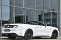 Ford Mustang Cabrio 5.0 Ti-VCT V8 GT *Carbon-Styling* Weiß - thumbnail 35