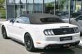 Ford Mustang Cabrio 5.0 Ti-VCT V8 GT *Carbon-Styling* Weiß - thumbnail 25