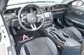 Ford Mustang Cabrio 5.0 Ti-VCT V8 GT *Carbon-Styling* Weiß - thumbnail 10
