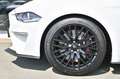 Ford Mustang Cabrio 5.0 Ti-VCT V8 GT *Carbon-Styling* Weiß - thumbnail 36