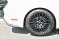 Ford Mustang Cabrio 5.0 Ti-VCT V8 GT *Carbon-Styling* Weiß - thumbnail 38