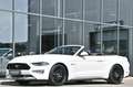 Ford Mustang Cabrio 5.0 Ti-VCT V8 GT *Carbon-Styling* Weiß - thumbnail 34